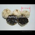 black garlic enhancing immunity, especially for the vulnerable